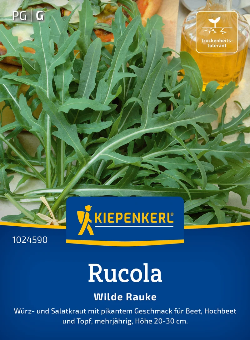 Rucola Wilde Rauke Saatgut