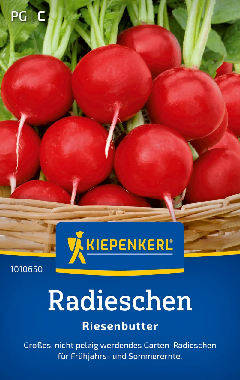 Radieschen Riesenbutter Saatgut
