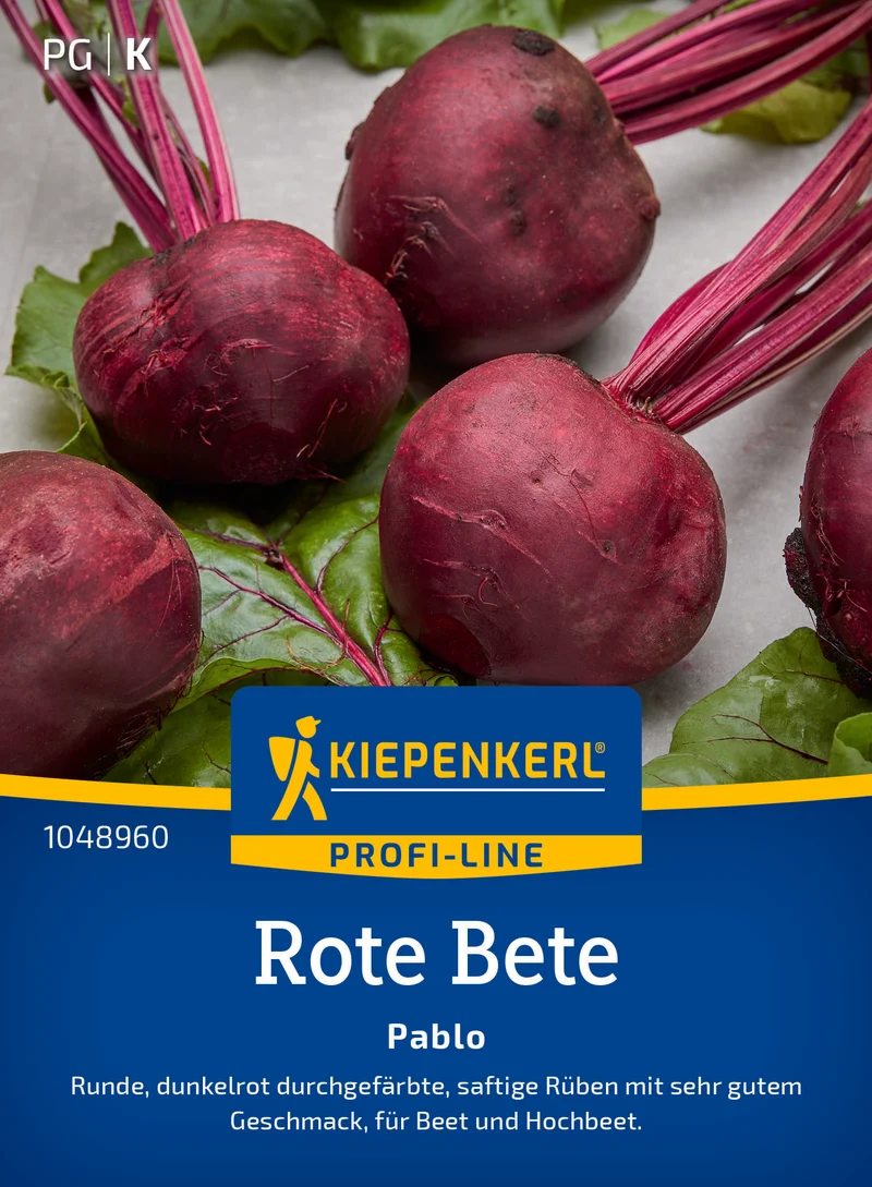 Rote Bete Pablo F1 Saatgut