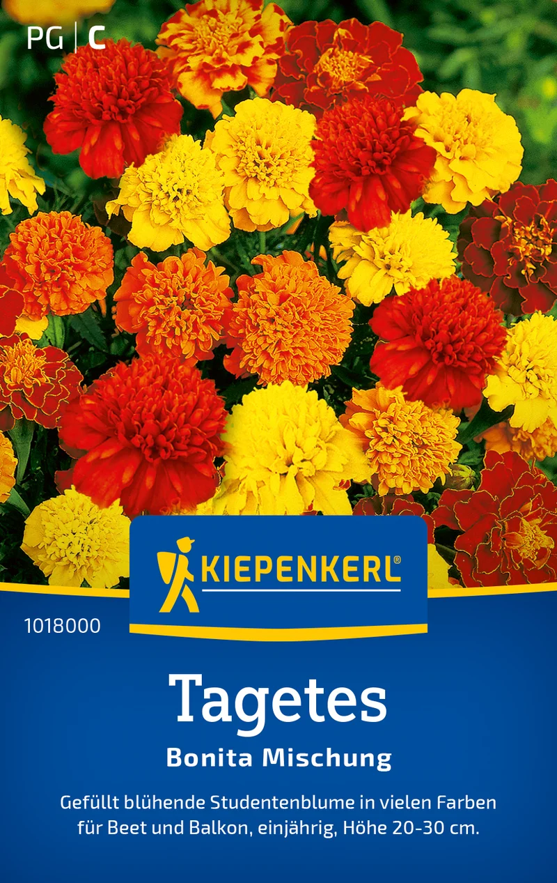 Tagetes Bonita Mischung Saatgut