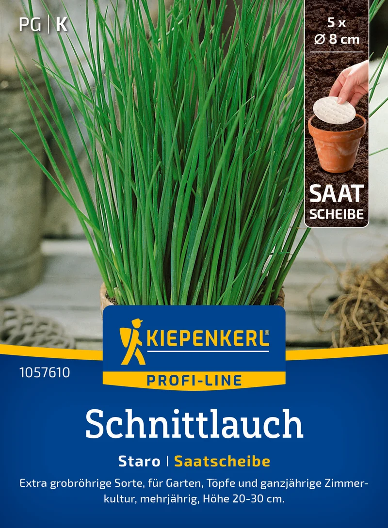 Schnittlauch Staro Saatscheibe