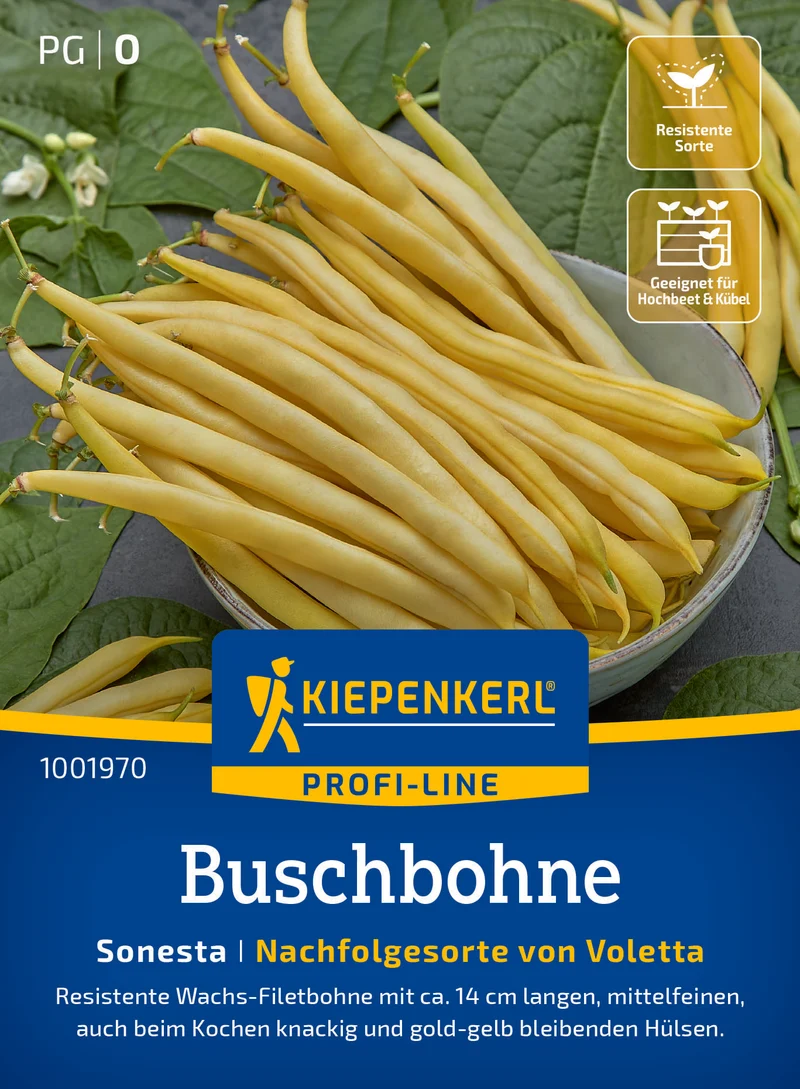 Buschbohne Sonesta Saatgut