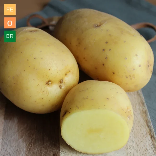 Organic Seed Potatoes: Maiwen