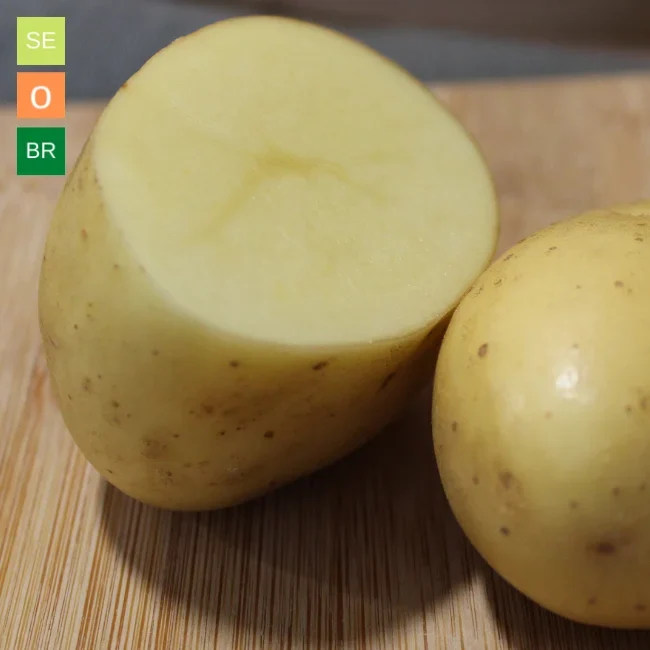 Organic Seed Potatoes: Byzance