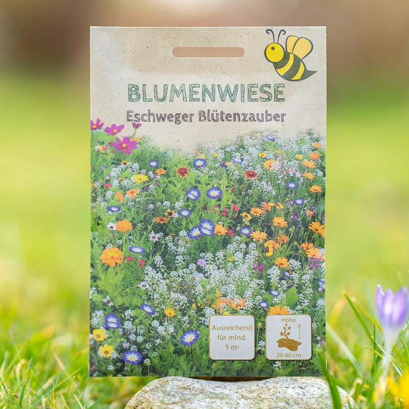 Blumenwiese Eschweger Blütenzauber 5 m²
