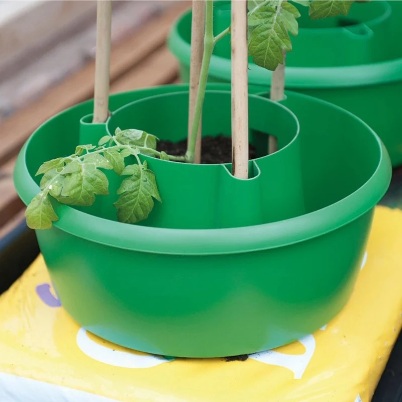 Plant Halos 3er-Set – Wasserspeicher & Stützhilfe