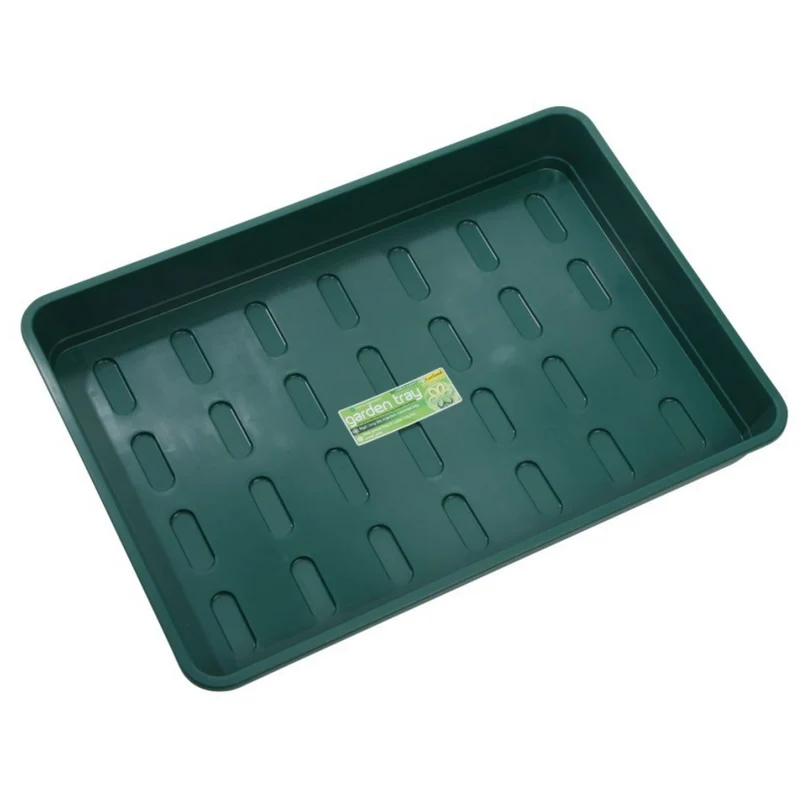 XL-Zimmergewächshaus 58 x 41 x 23 cm – stabiles Anzucht-Gewächshaus mit grüner Schale