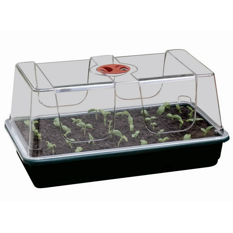 Zimmergewächshaus 38 x 23 x 18 cm – stabiles Mini-Gewächshaus mit schwarzer Schale