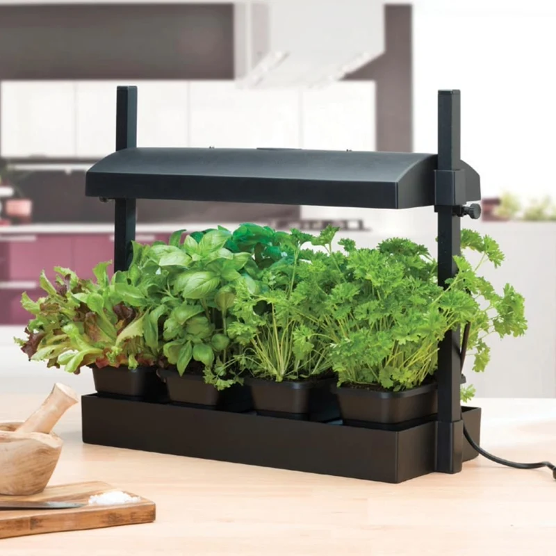 Micro Küchengarten LED Schwarz – 8-Watt LED Vollspektrum-Licht, Selbstbewässerungssystem