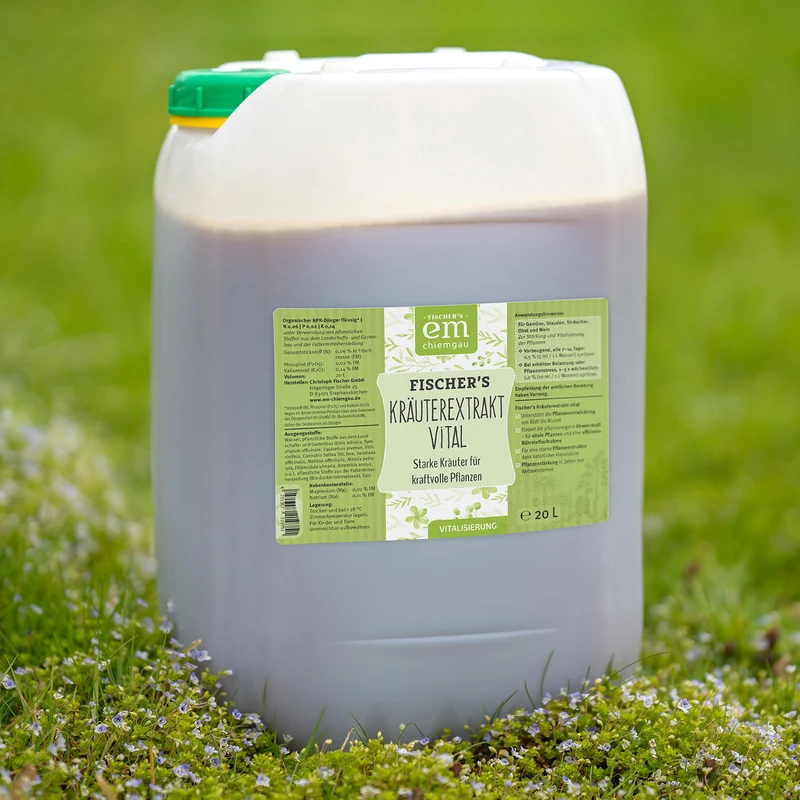Fischer's Kräuterextrakt Vital