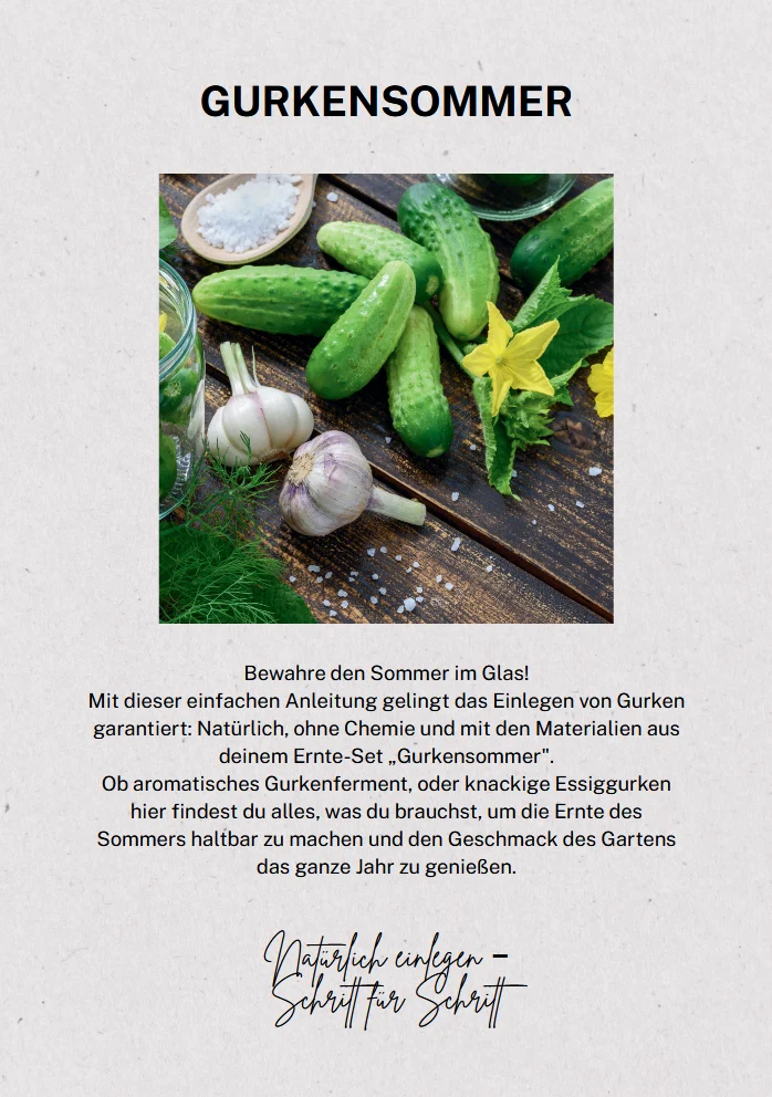 Ernte-Set „Gurkensommer“