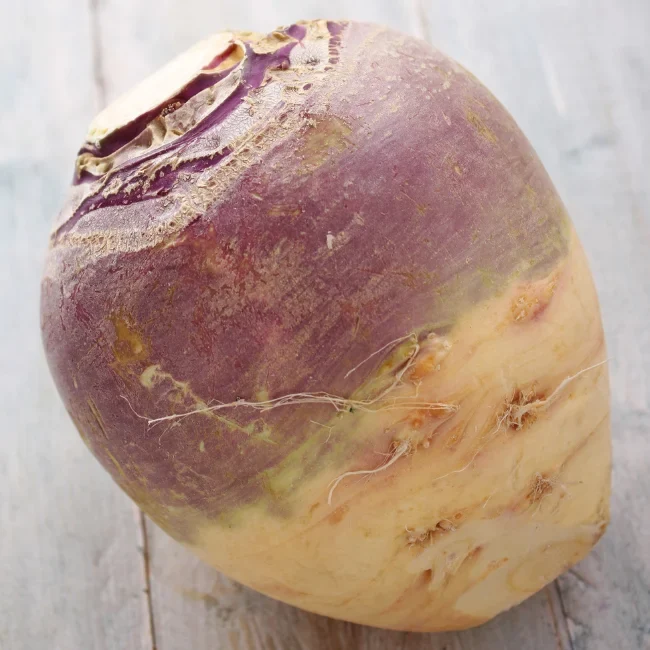 Swede: Best Of All Conventional Seed