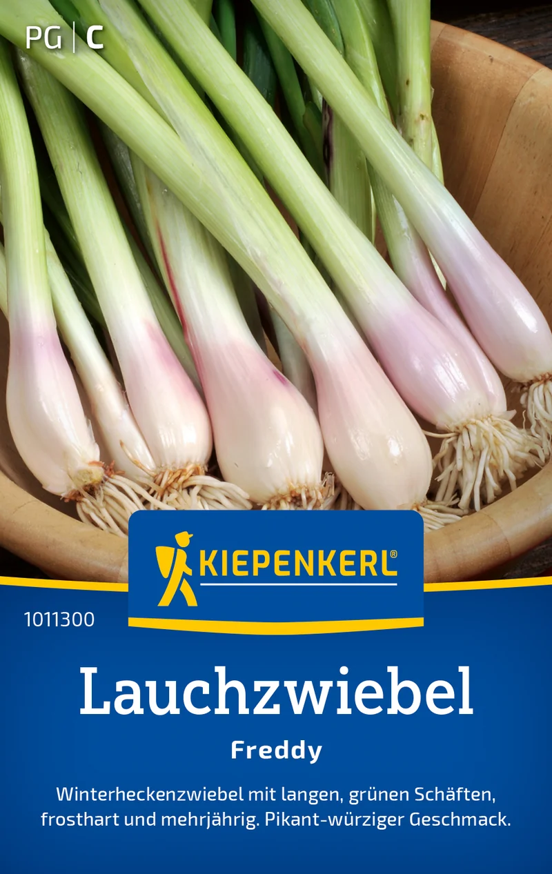 Lauchzwiebel Freddy Saatgut