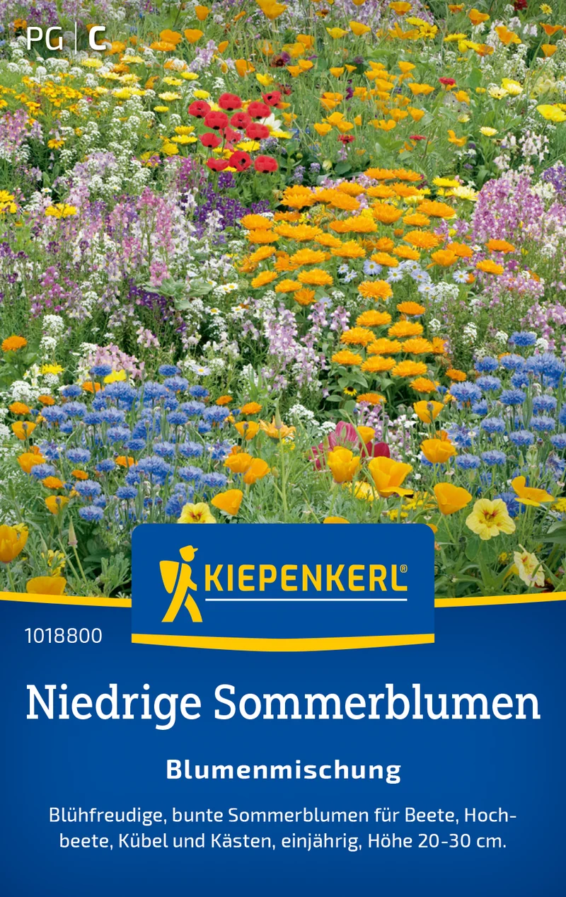 Blumenmischung Niedrige Sommerblumen Saatgut