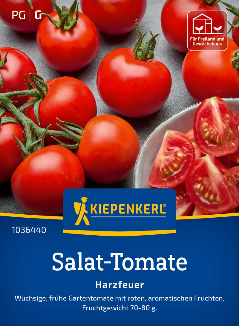 Salat Tomate Harzfeuer F1 Saatgut