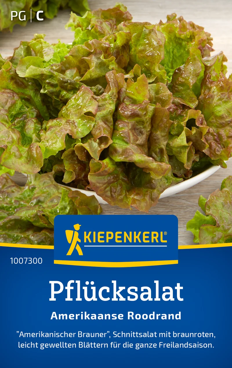 Pflücksalat Amerikaanse Roodrand Saatgut