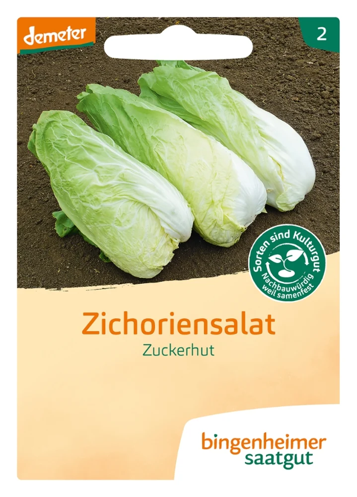 BIO Saatgut Zuckerhut