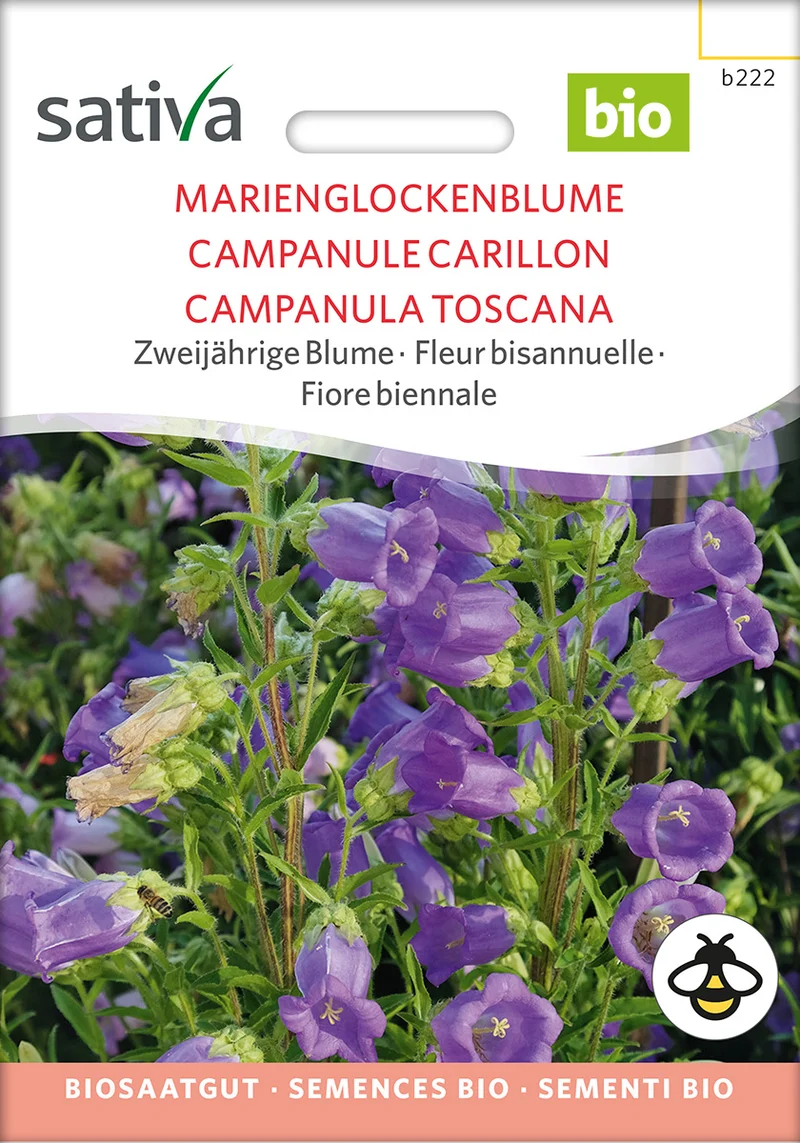 BIO Saatgut Marienglockenblume