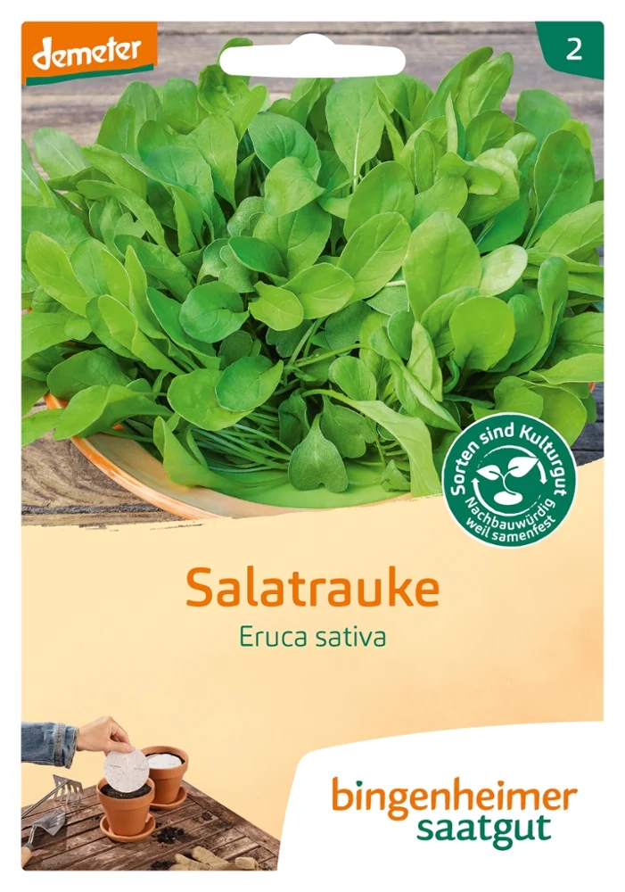 BIO Saatgut Salatrauke Rucola Saatscheibe