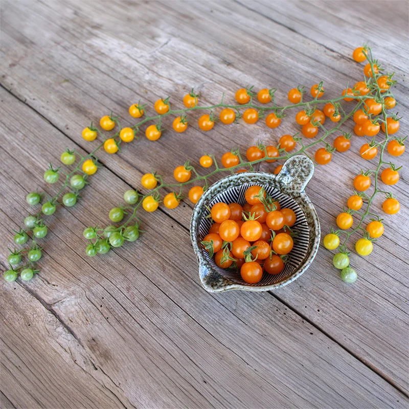 Kirschtomate - Gelbe Johannisbeere