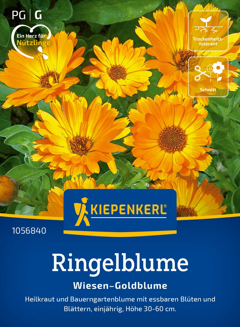 Ringelblume Wiesen Goldblume Saatgut