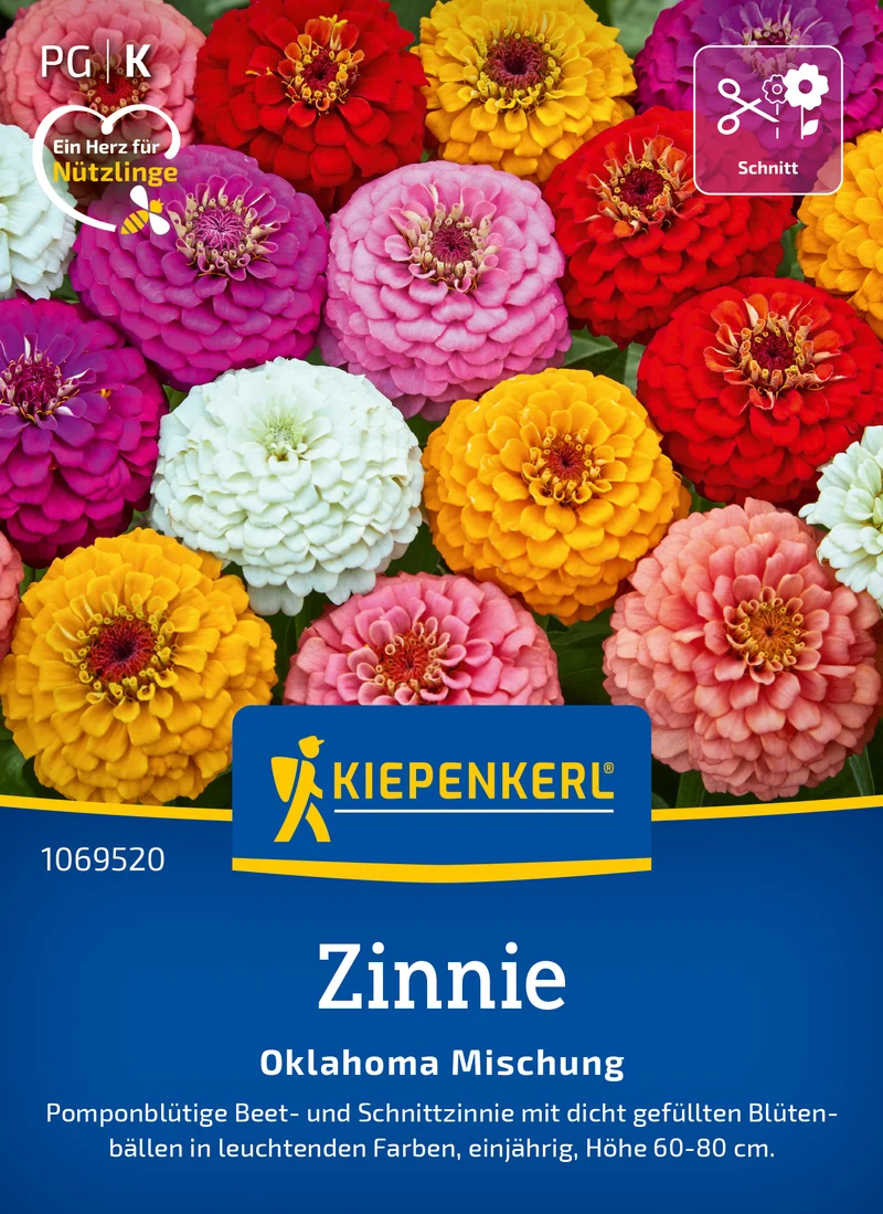 Zinnie Oklahoma Mischung Saatgut