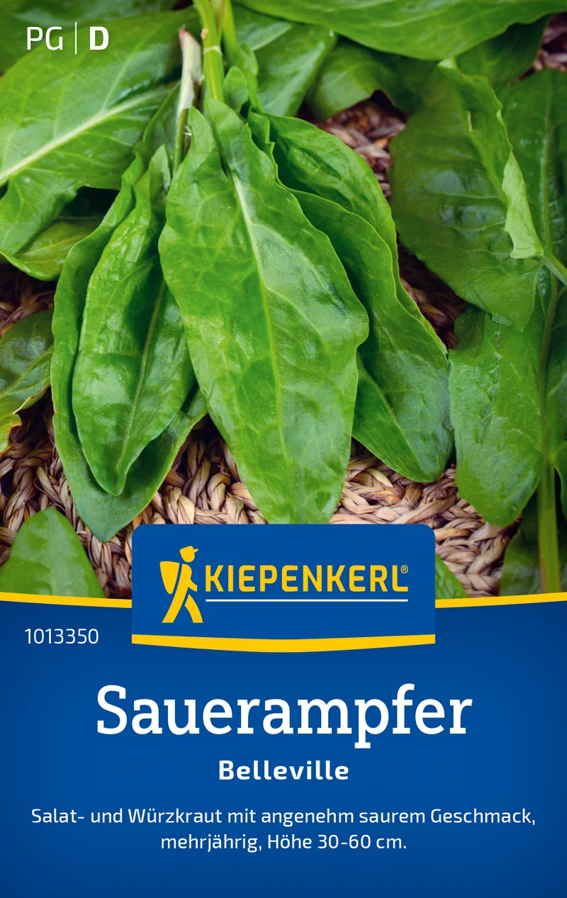 Sauerampfer Belleville Saatgut