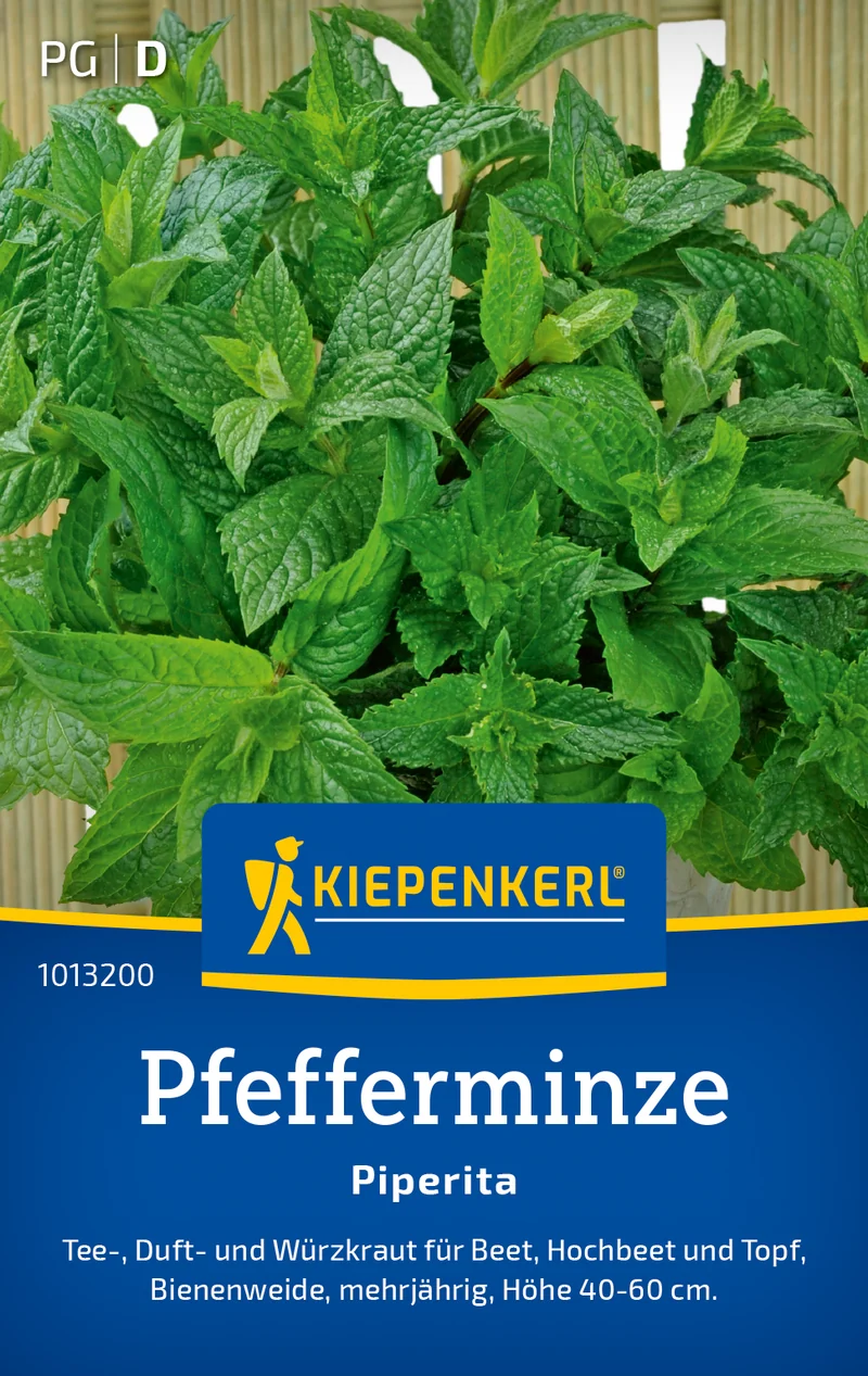 Pfefferminze Piperita Saatgut