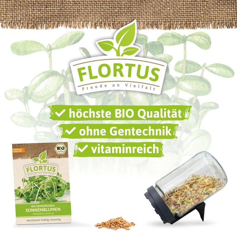 Keimsprossen Sonnenblume | BIO Keimsprossen von FLORTUS