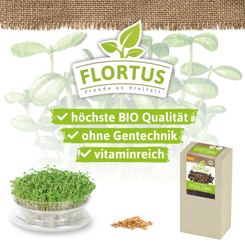 Keimsprossen Quinoa Schwarz | BIO Keimsprossen von FLORTUS