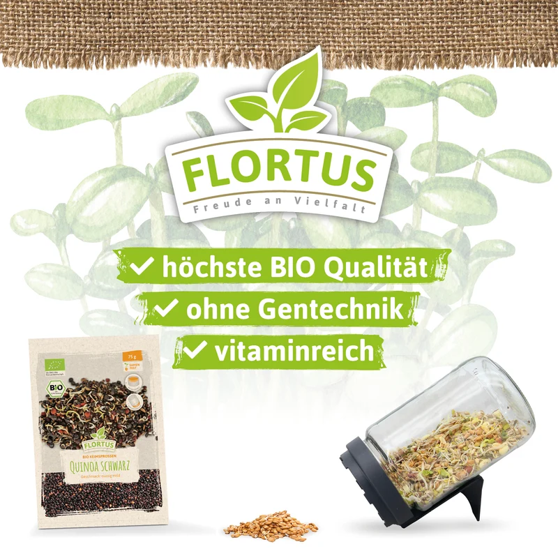 Keimsprossen Quinoa Schwarz | BIO Keimsprossen von FLORTUS