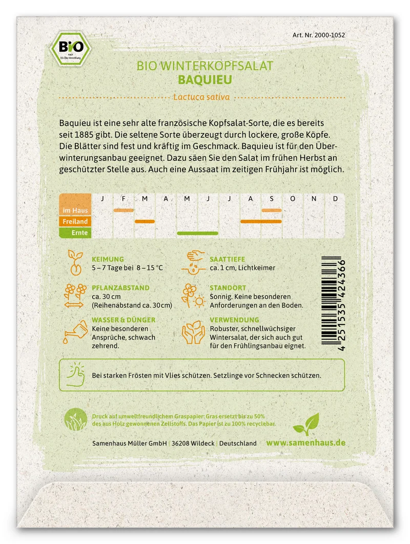 Winterkopfsalat Baquieu | BIO Kopfsalatsamen von FLORTUS