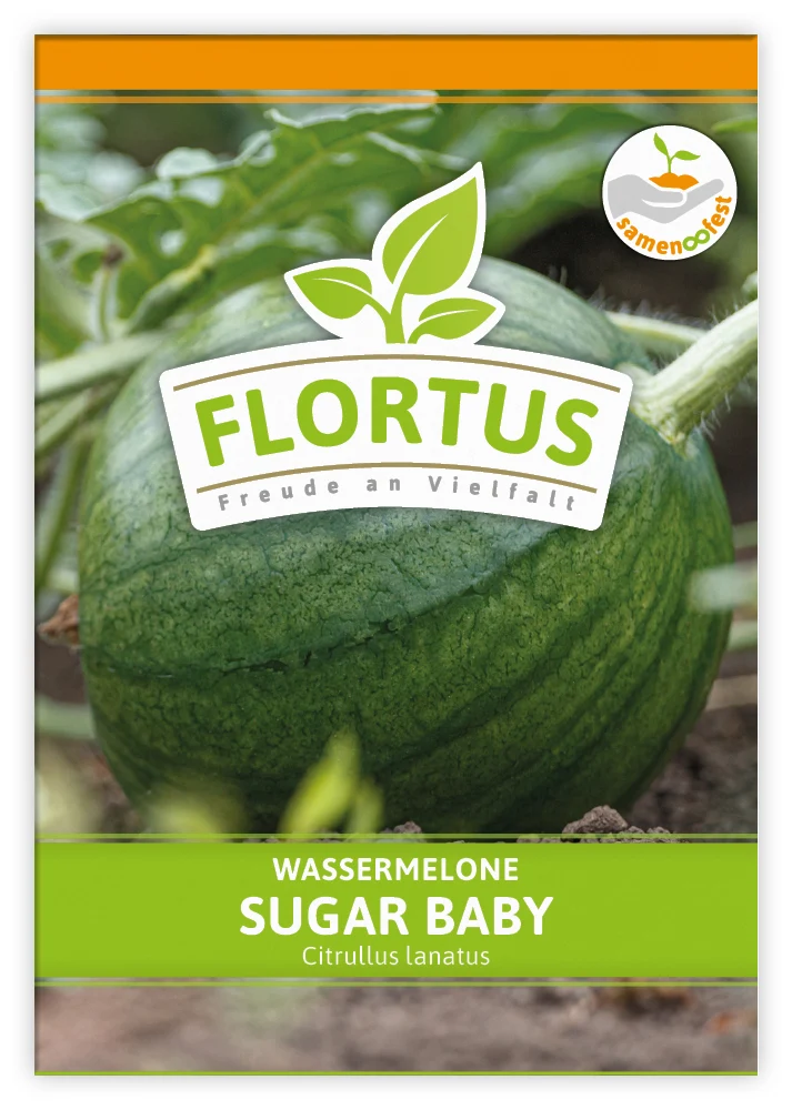 Wassermelone Sugar Baby (100 Tütchen) | Wassermelonensamen von FLORTUS