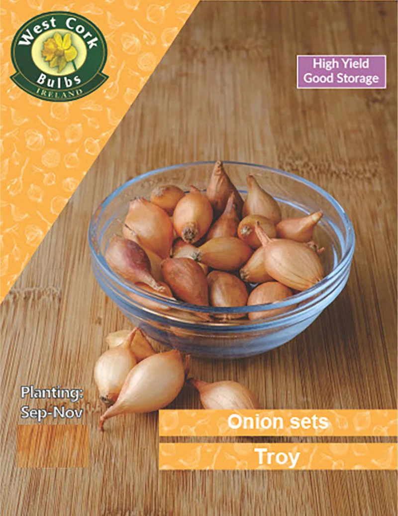 Onion Sets: Troy
