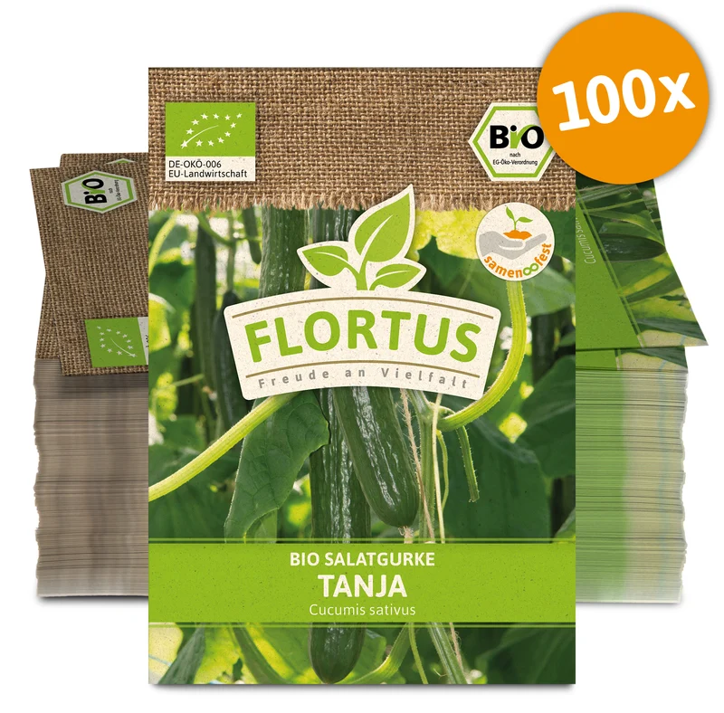 Salatgurke Tanja (100 Stück) | BIO Gurkensamen von FLORTUS