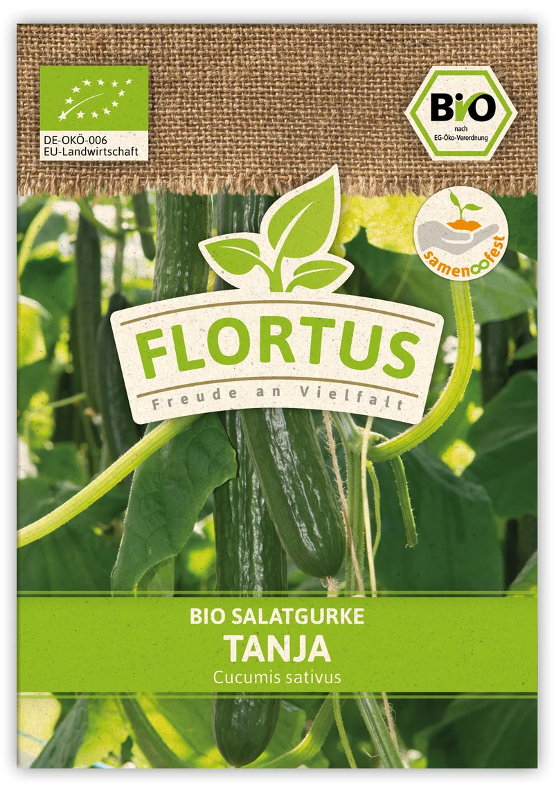 Salatgurke Tanja (100 Stück) | BIO Gurkensamen von FLORTUS