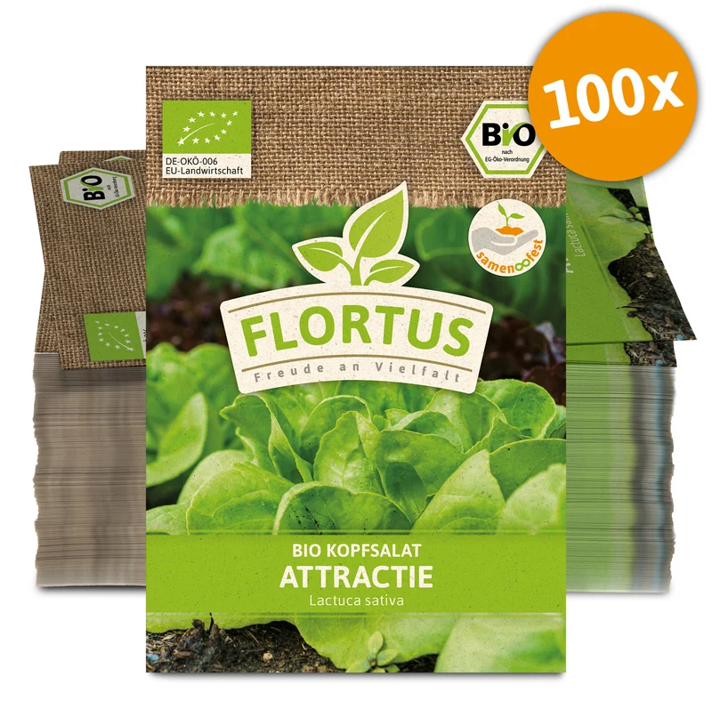 Kopfsalat Attractie (100 Stück) | BIO Salatsamen von FLORTUS