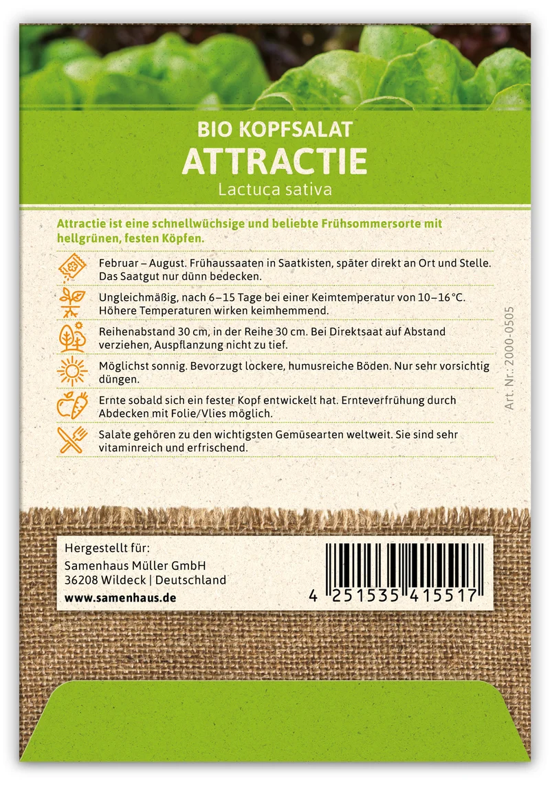 Kopfsalat Attractie (100 Stück) | BIO Salatsamen von FLORTUS