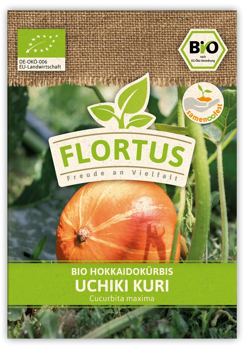 Hokkaidokürbis Uchiki Kuri (100 Stück) | BIO Kürbissamen von FLORTUS