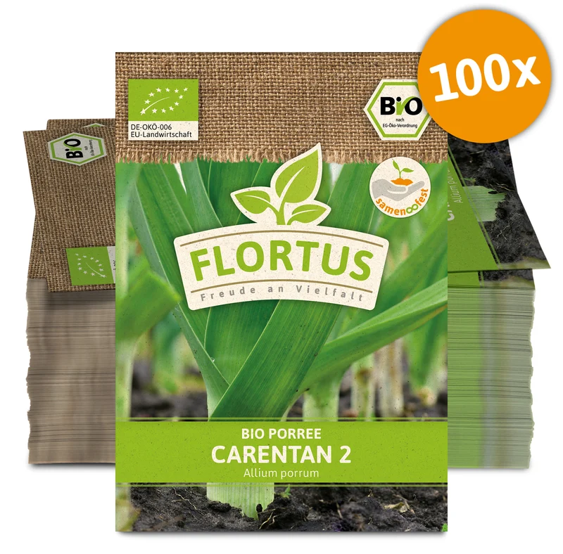 Lauch-Porree Carentan 2 (100 Stück) | BIO Lauchsamen von FLORTUS