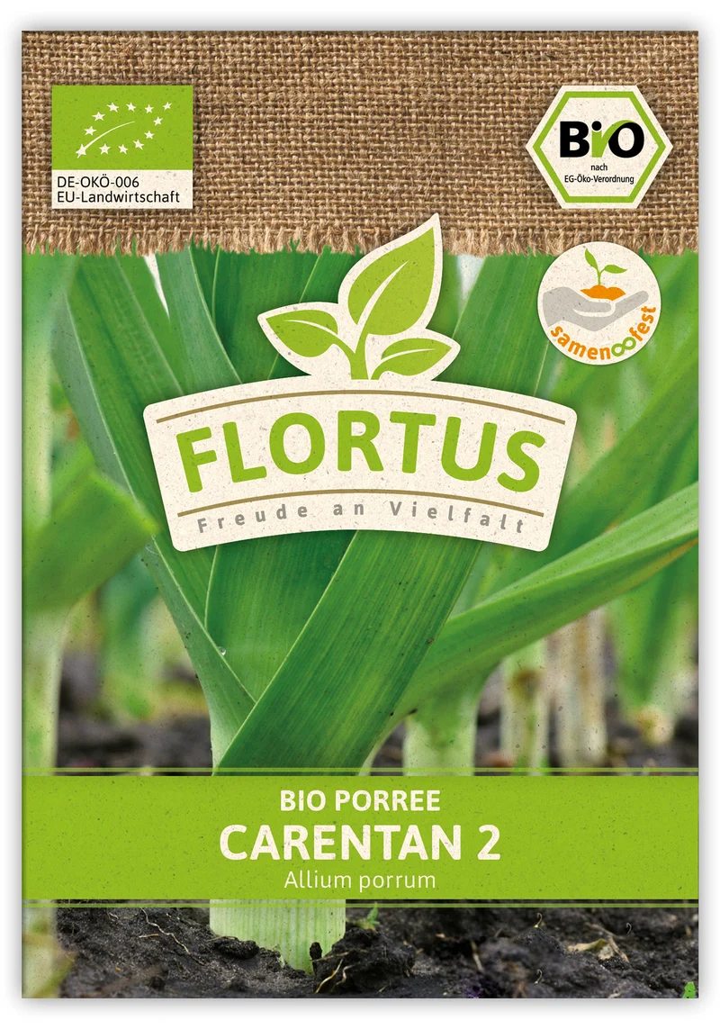 Lauch-Porree Carentan 2 (100 Stück) | BIO Lauchsamen von FLORTUS