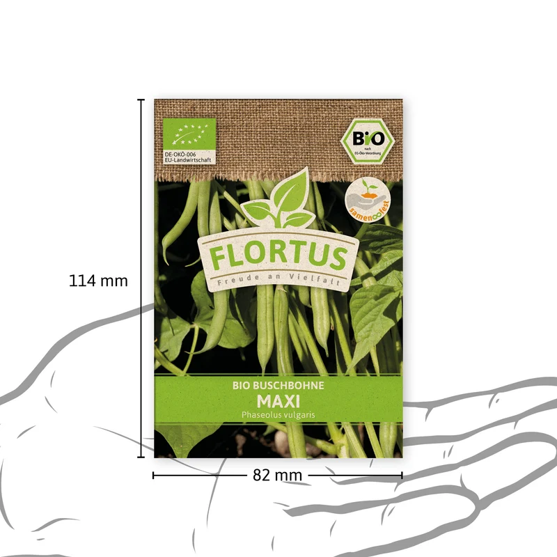 Buschbohne Maxi | BIO Bohnensamen von FLORTUS
