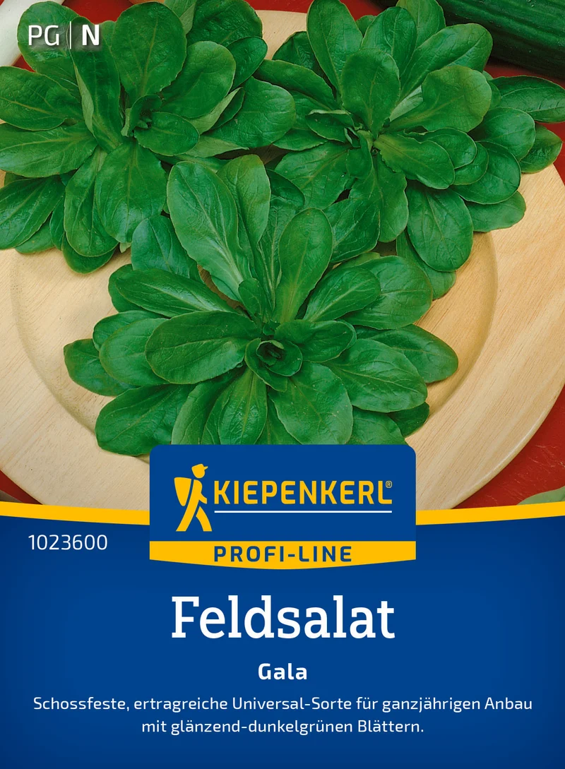 Feldsalat Gala Saatgut