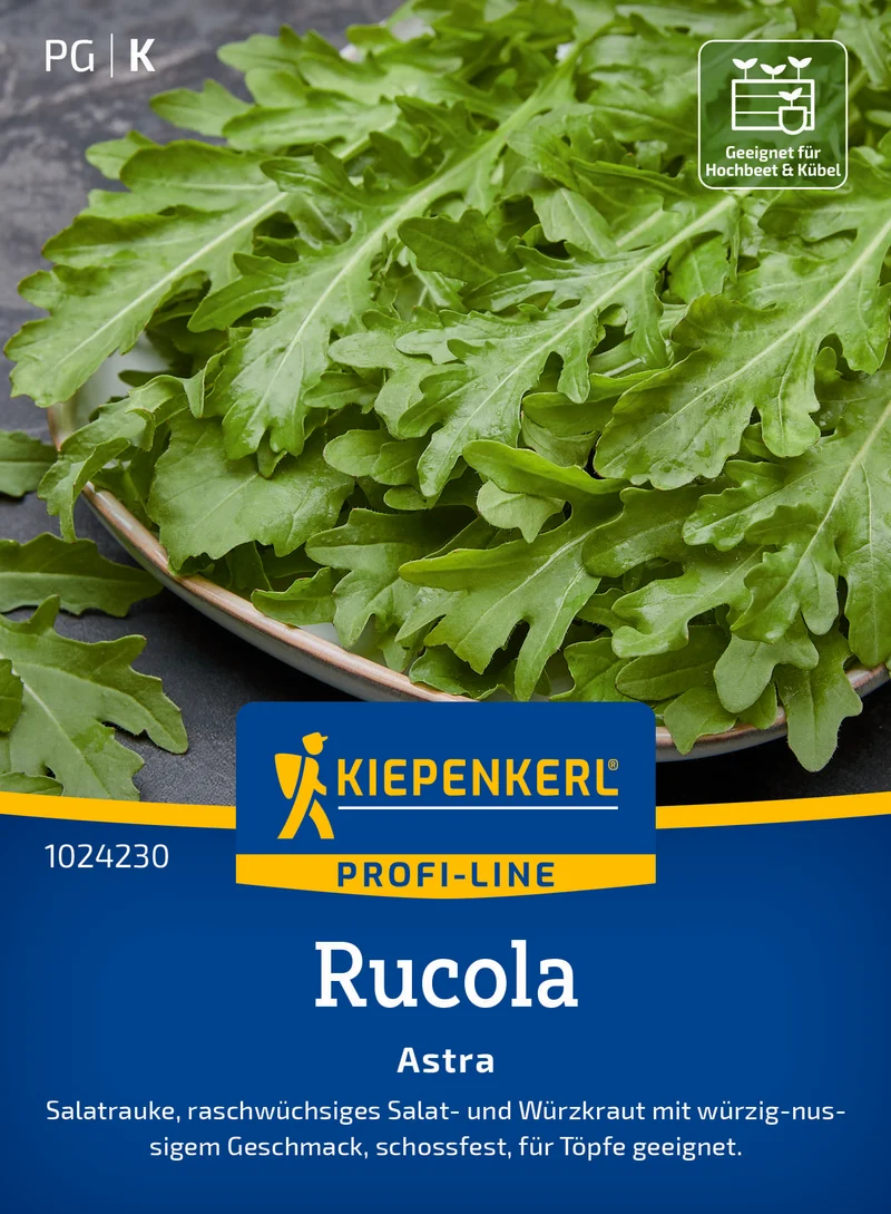 Rucola Astra Saatgut