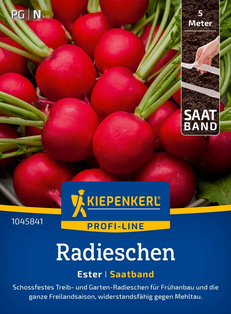 Radieschen Ester Saatband