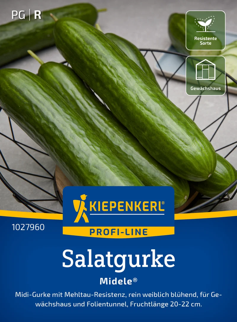 Salatgurke Midele F1 Saatgut