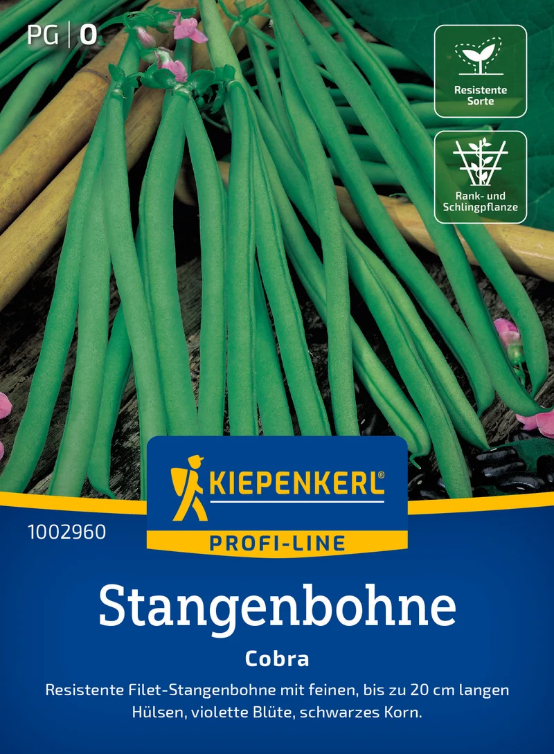 Stangenbohne Cobra Saatgut