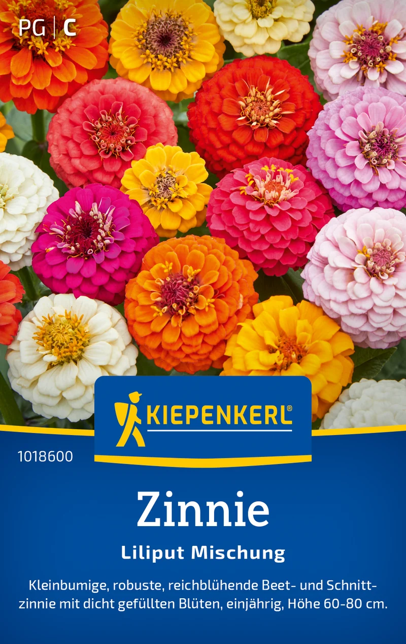 Zinnie Liliput Mischung Saatgut
