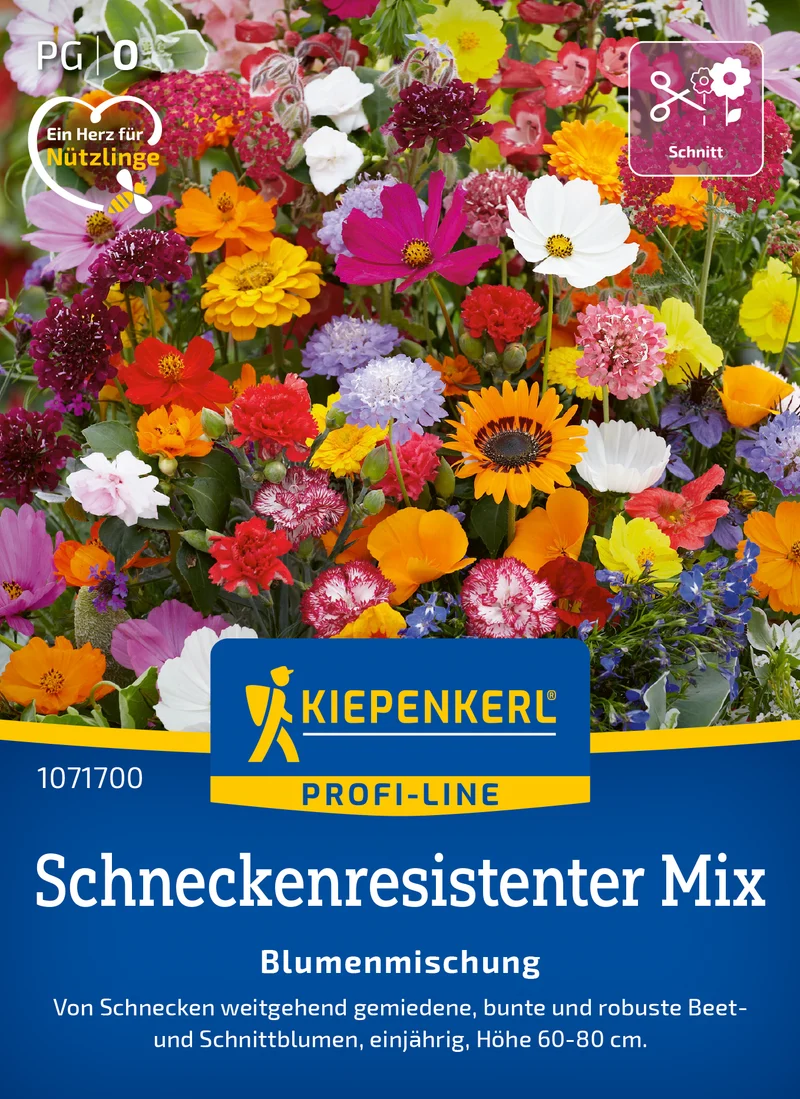 Blütensymphonie Blumenmischung Saatgut