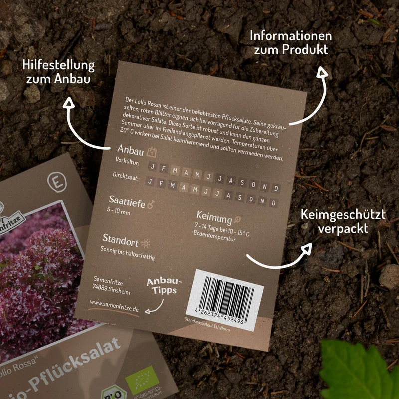 Bio-Pflücksalat Lollo Rossa Samen